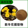 森冉生物 款冬花提取物 艾冬花提取物 比例提取原料粉