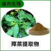 森冉生物 蔊菜提取物 野菜子提取物 比例提取原料粉