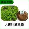 森冉生物 大青葉提取物 臭大青提取物 比例提取原料粉