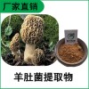 森冉生物 羊肚菌提取物 羊肚菌多糖 羊肚磨提取物