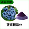 森冉生物 藍莓提取物 越橘提取物 藍莓粉