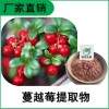 森冉生物 蔓越莓提取物 蔓越莓粉 蔓越莓花青素