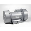 INVICTA VIBRATORS振動器