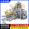 抽真空熱合自動包裝碼垛設(shè)備廠家直銷